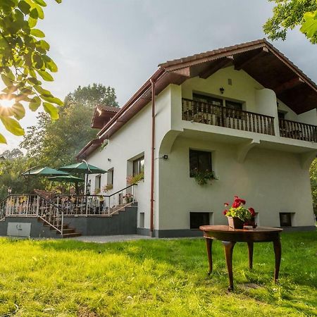 Casa Din Plai Bed & Breakfast Provita de Sus Екстериор снимка