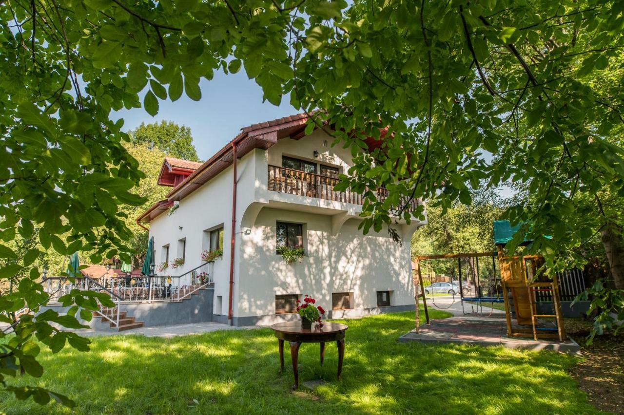 Casa Din Plai Bed & Breakfast Provita de Sus Екстериор снимка