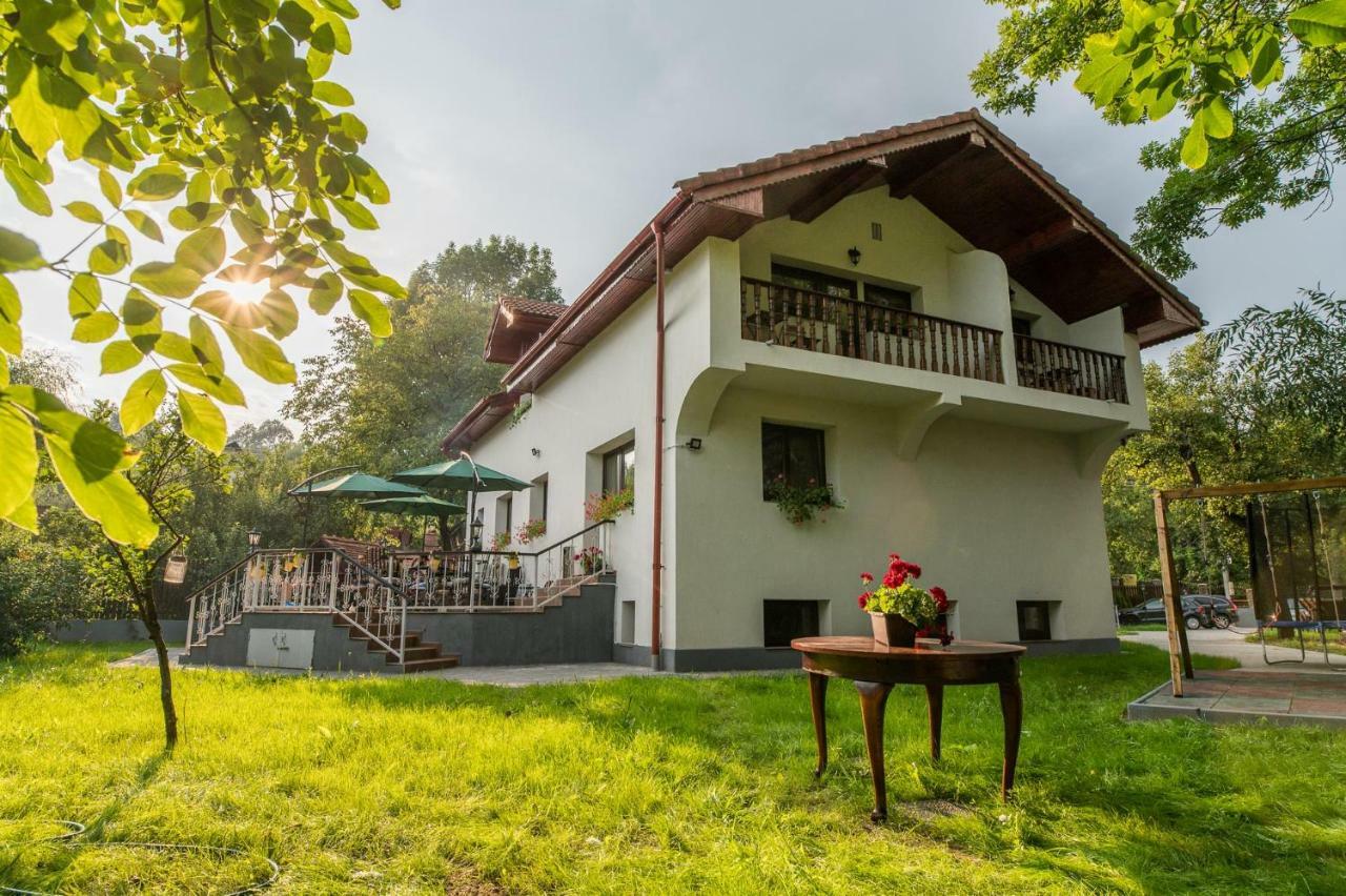 Casa Din Plai Bed & Breakfast Provita de Sus Екстериор снимка