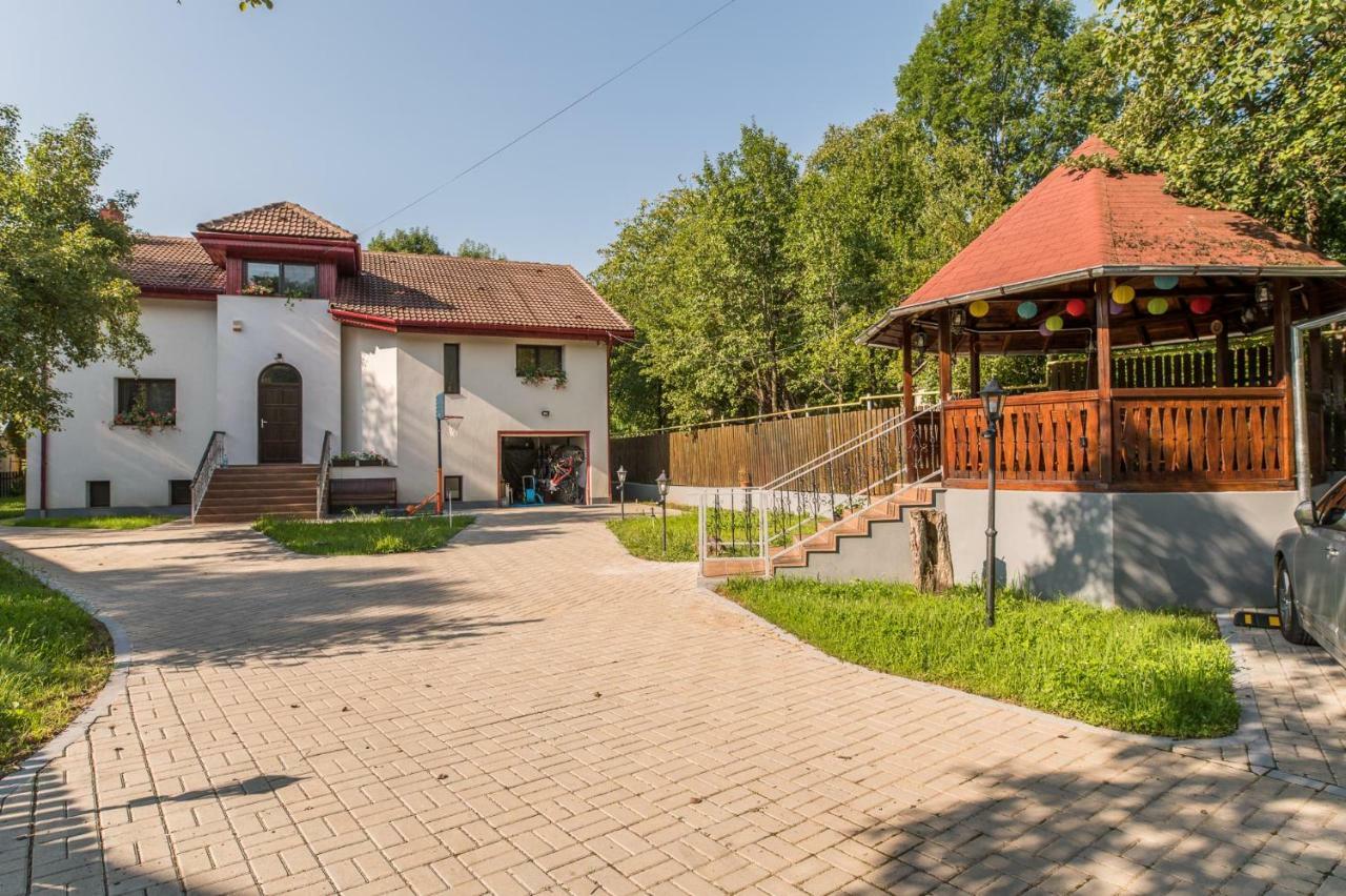 Casa Din Plai Bed & Breakfast Provita de Sus Екстериор снимка