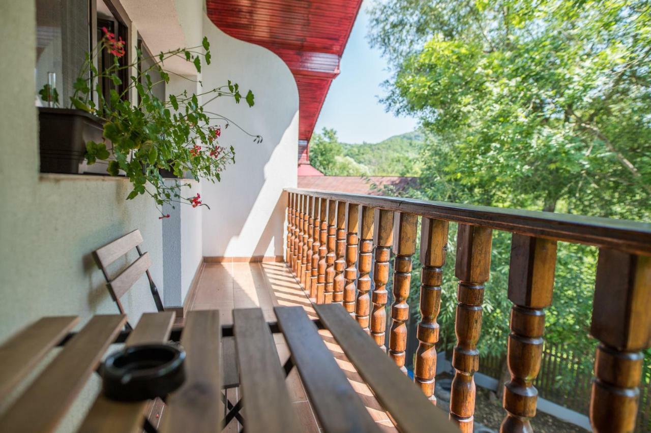 Casa Din Plai Bed & Breakfast Provita de Sus Екстериор снимка